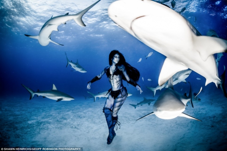 Смертельно опасные подводные танцы с тигровыми акулами 